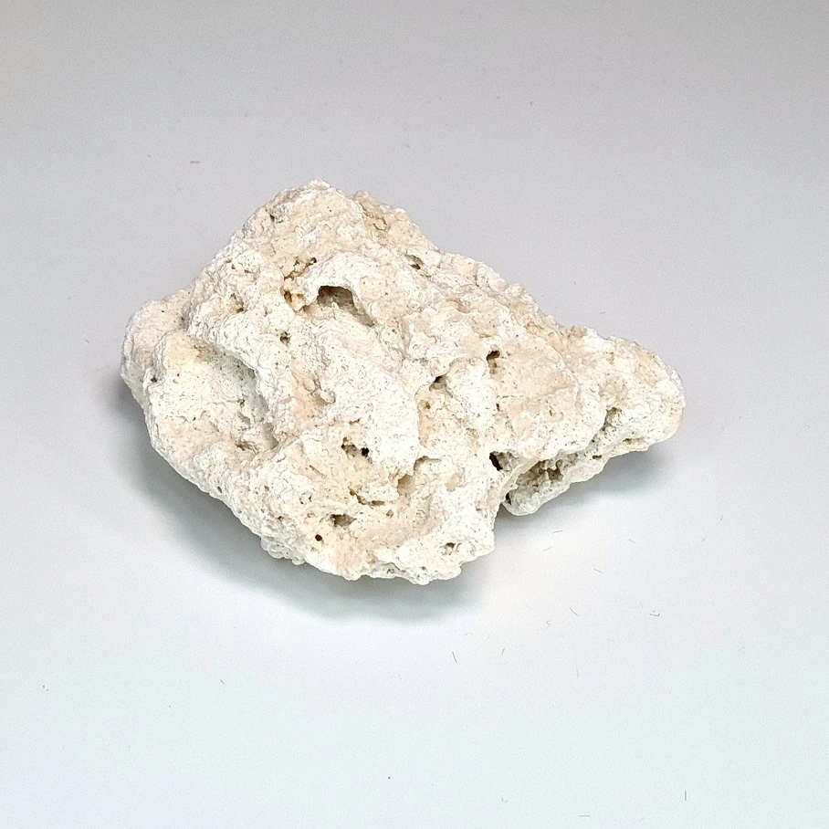 Wapień filipiński 1 kg